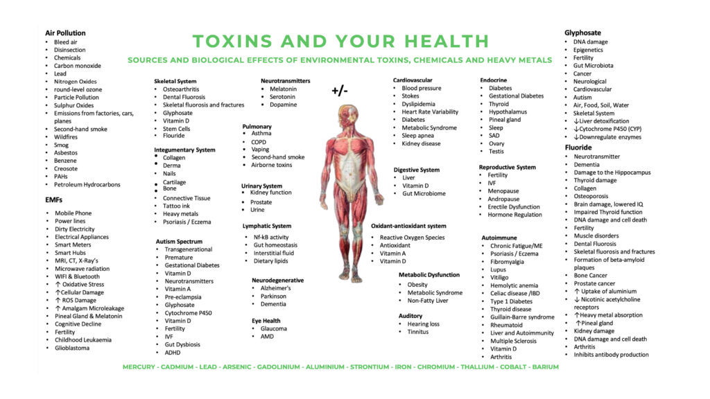 Toxins and your Health
